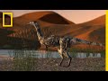 Dinosaur foot is bestpreserved theropod fossil in brazil  national geographic