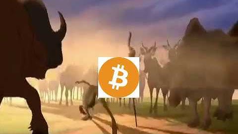 velas vlx The Birth VELAS criptomoneda