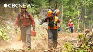 Fire activity, drought conditions intensify across B.C.