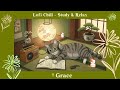 Mindful Moments Calm Lofi For Study Rest Mindful Moments Calm Lofi For Study Rest