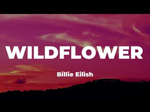 Billie Eilish WILDFLOWER Lyrics 