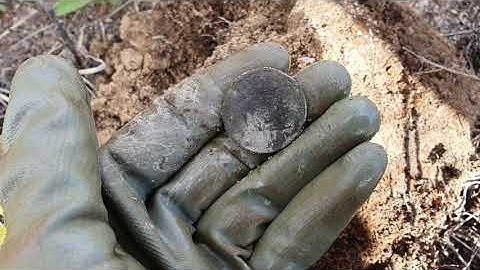 Another town site! More coins and relics. Simplex SP24 Coil gets the job done!