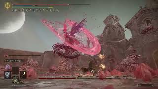 Romina Archive 3: Light The Way Forward