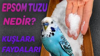 Epsom Tuzu (Magnezyum Sülfat ) Nedir ? Kuşlara Faydaları?