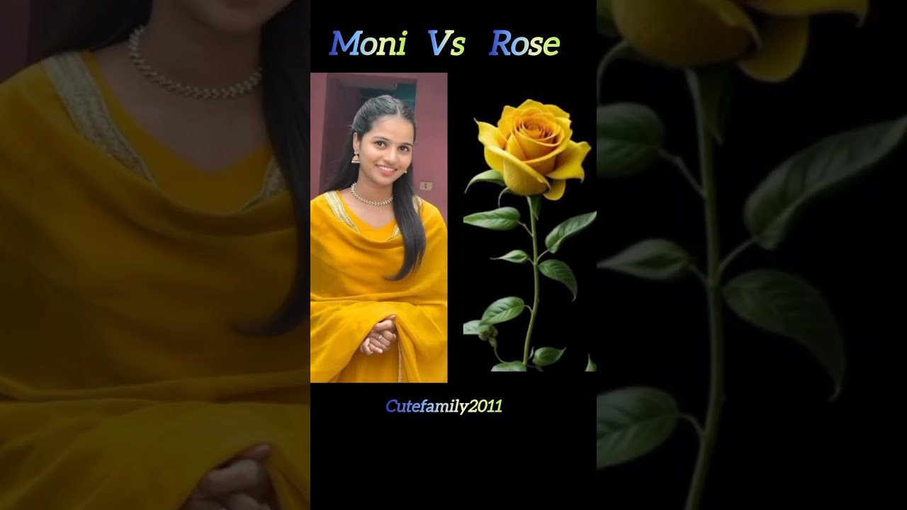 💖Moni💖 VS ❤️Roses❤️ 