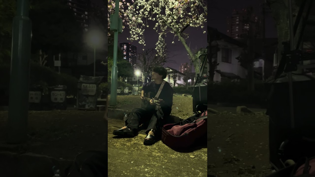 きゃない「紫陽花・イヌ・ウサギ」2024.04.13 埼玉上落合公園路上弾き語りライブ！