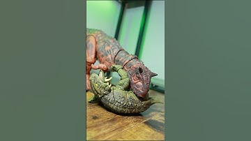 My Hammond Collection Carnotaurus BROKE!