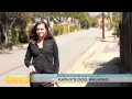 MyLocalBuzzTV - Kathy&#39;s Dog Walking - Manhattan Beach