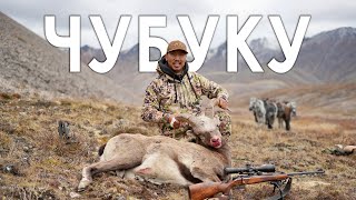 видео: ГОРНАЯ ОХОТА на ЯКУТСКОГО СНЕЖНОГО БАРАНА - ЧУБУКУ картинка: ГОРНАЯ ОХОТА на ЯКУТСКОГО СНЕЖНОГО БАРАНА - ЧУБУКУ