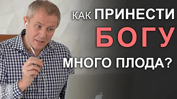 Как принести Богу много плода? Александр Шевченко 2019