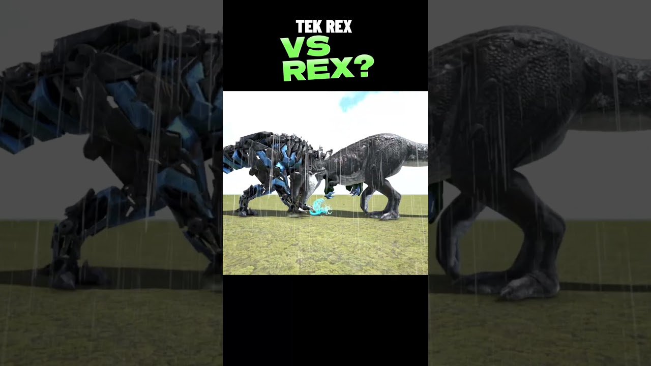 TEK REX VS REX | 