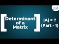 Matrices | Determinant of a Matrix (Part 1) | Don't Memorise