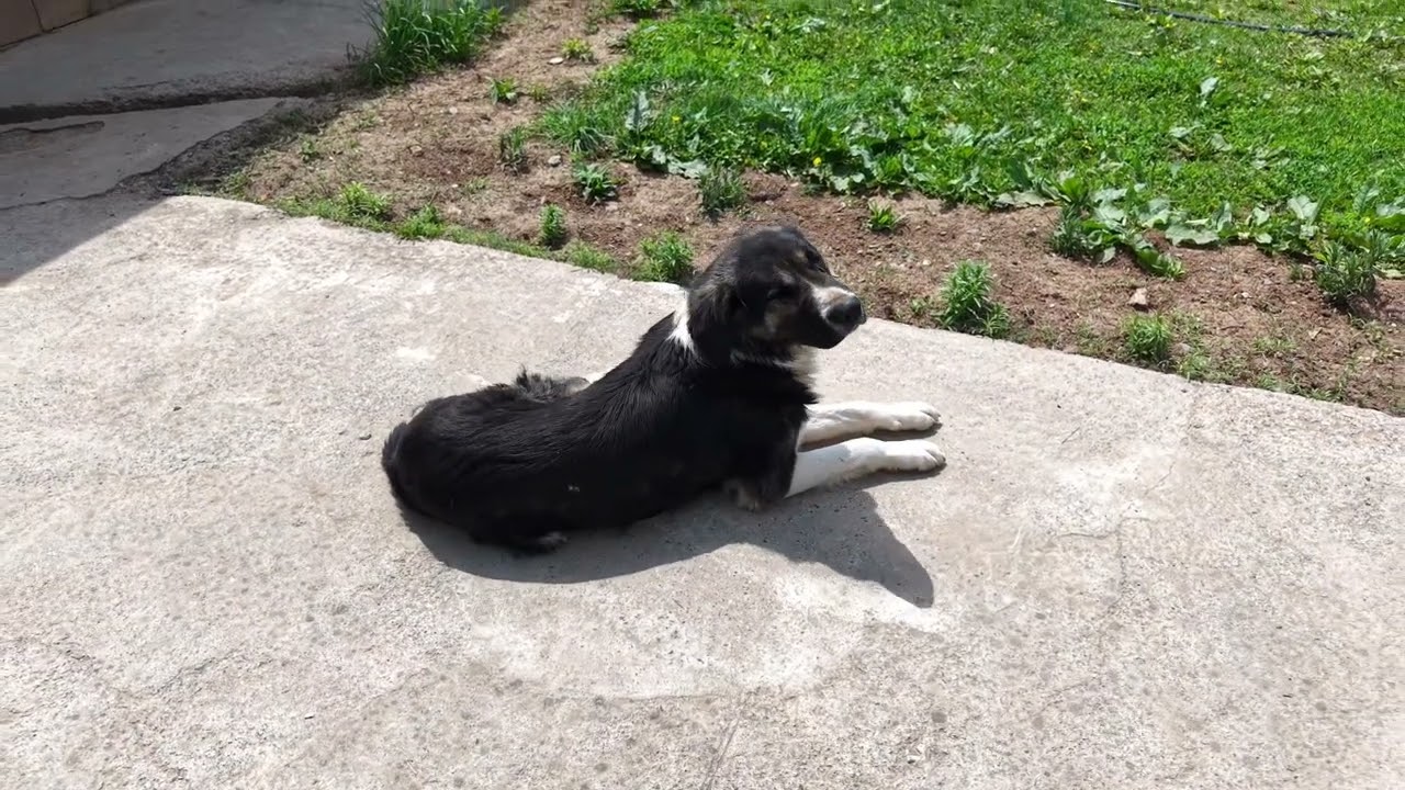 Алай району/ Айылым 🇰🇬✅