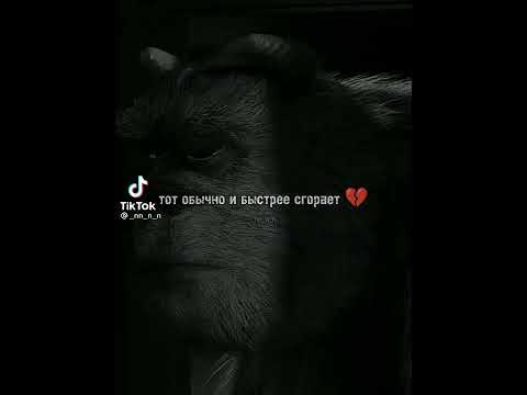 кто ярче всех