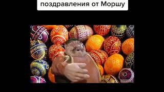 Ведь это пасхаааа! Поздравление от Моршу! 3D Remastered