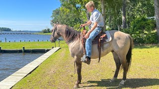 More about InnerCoastal Livestock!