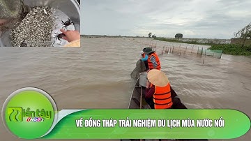 Về Đồng Tháp trải nghiệm du lịch mùa nước nổi