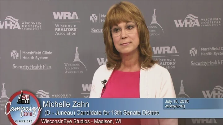 Campaign 2018: Michelle Zahn (D) Candidate for 13t...