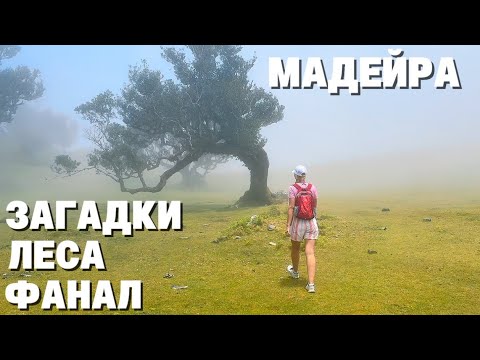 Наши впечатления 🍃✨Эндемическая природа и мистическая атмосфера Мадейры! 🌌🌳 9 день. Часть 2.