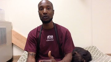 Communicating With Your Dog Through Body Language