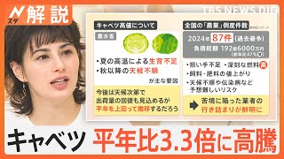 キャベツ高騰1玉430円も… 葉物野菜の高値止まらず、いかに食品を無駄なく使うか 注目は「ストパ」【Nスタ解説】｜TBS NEWS DIG