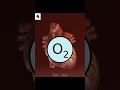 Human Heart ke 3 Hosh Udane Wale Facts! 😱 #shorts #factgirl #trending #viral