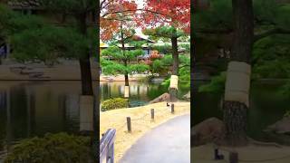 Japanese Garden | Nagoya Japan #shorts #japan #nagoya