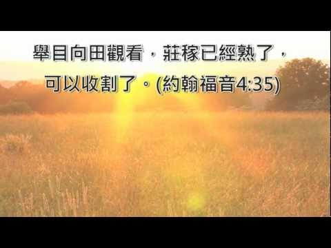 2012 先知性街頭佈道訓練 Prophetic Street Evangelism training