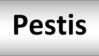 How Do You Pronounce Ramases? - Dictionary - Dictionnaire, Grammaire,  Orthographe & Langues