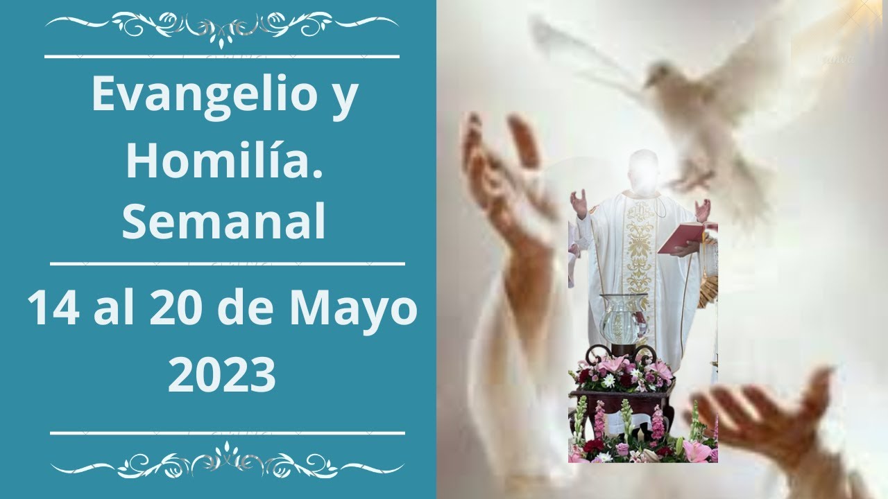 Evangelio y Homilía semanal del 14 al 20 de Mayo 2023 - YouTube