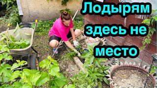 Деревенская уборка на участке / Все заросло !