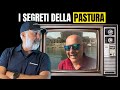 PASTURARE in PESCA: l'OLIO di SARDINA