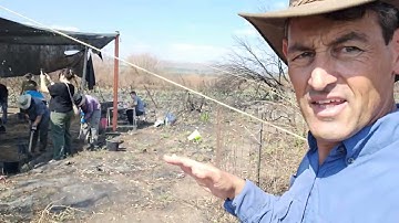 Beginning of autumn 2025 excavation season , with a new excavation area at Bethsaida-Julias!