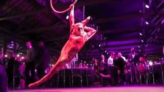 Aerial Hoop -- Klodi Dabkiewicz