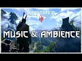 Witcher 3 - Relaxing Music &amp; Ambience [10 Hours] 4k