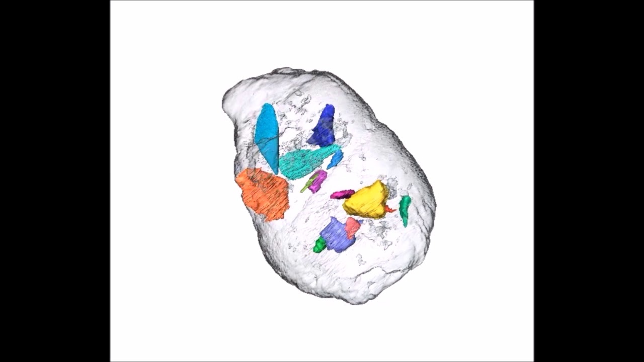 First bonecracking dog coprolites provide new insight into bone