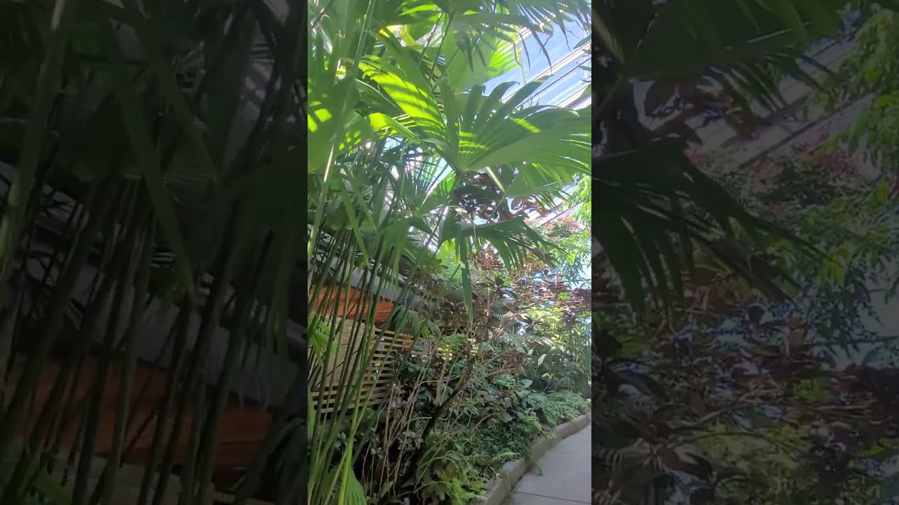 Calgary Zoo Has Beautiful Indoor Gardens 👍 Enjoying With My Daughter ❤️(5)