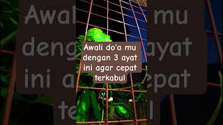 Awali 3 do'a ini agar do'a cepat dikabulkan