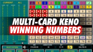 Multi Card Keno 8 Number Patterns Hit 8 of 8 Jackpot