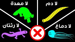 إليك 50 حقيقة عن الحيوانات لم تسمع بها من قبل