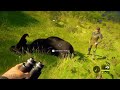 TheHunter Call of the Wild - REBANHO de BUFALOS - Gameplay PC 🦬🕹️