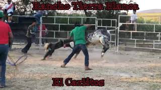 Rancho Tierra Blanca  El Carlitos vs Andariego De San Pedro