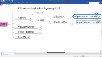 46 尚硅谷 SpringCloud Zuul路由访问映射规则