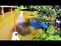 Creek Fishing For Catfish With Worms