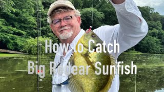 How to Catch Shellcrackers  Two Great Techniques for Big Redear Sunfish