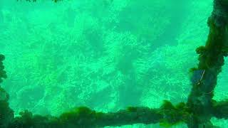 SEMI SUBMERSIBLE  BOAT AT THE GREAT BARRIER REEF