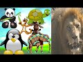 Farm &amp; Wild Animals Sounds &amp; video- Domestic animals/familiar Animals- elephant/monkey/tiger/hippo