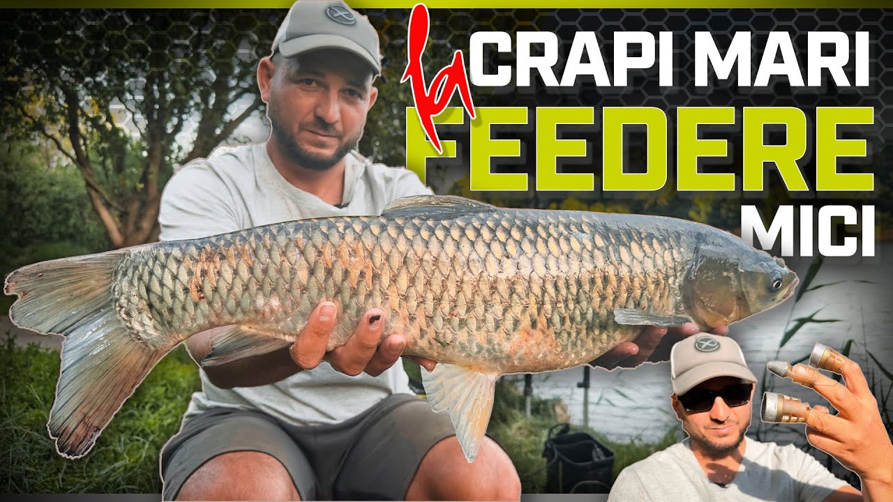 Cum sa pescuiesti Crapi Mari cu Feedere Mici‼️