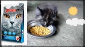 Powercat Produk Makanan Kucing Yang Halal 26 Julai 2015 Youtube