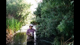 Rewilding the Mojave Desert's Palisades Ranch